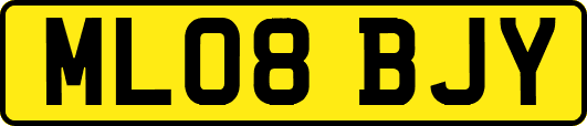 ML08BJY