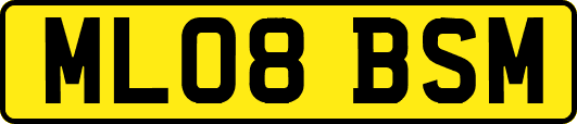 ML08BSM