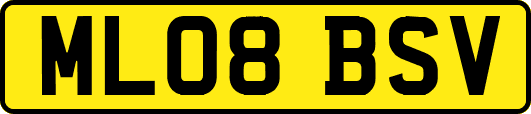 ML08BSV
