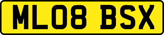 ML08BSX