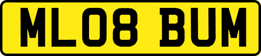 ML08BUM