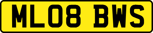 ML08BWS