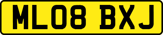 ML08BXJ
