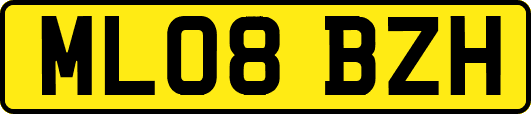 ML08BZH