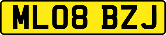 ML08BZJ