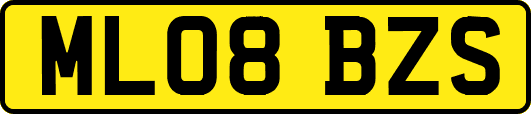 ML08BZS