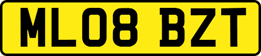 ML08BZT
