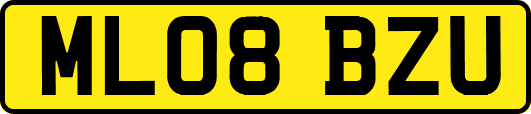 ML08BZU