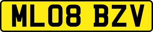 ML08BZV