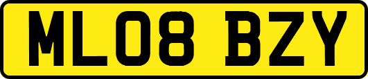 ML08BZY
