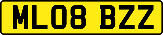 ML08BZZ