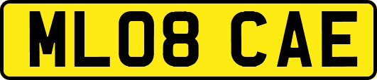 ML08CAE