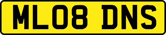 ML08DNS