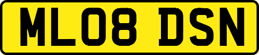 ML08DSN