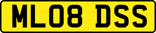 ML08DSS