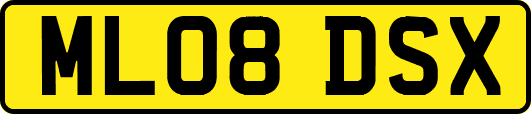 ML08DSX