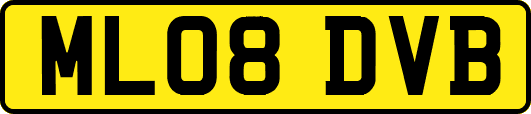 ML08DVB