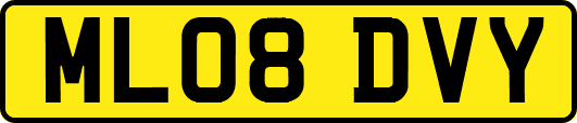 ML08DVY