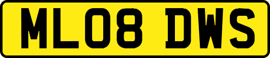 ML08DWS