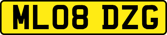 ML08DZG