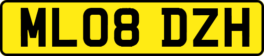 ML08DZH