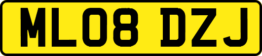 ML08DZJ