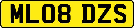 ML08DZS