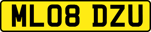 ML08DZU