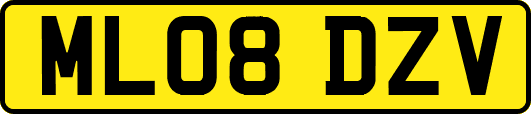 ML08DZV