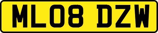 ML08DZW