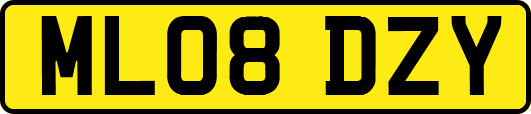 ML08DZY