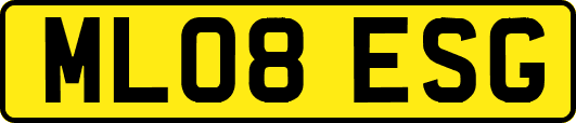 ML08ESG