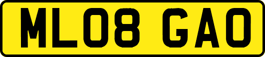 ML08GAO