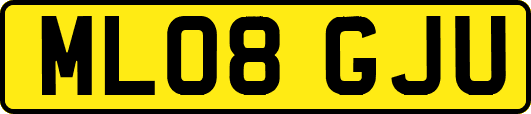 ML08GJU