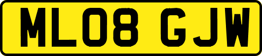 ML08GJW