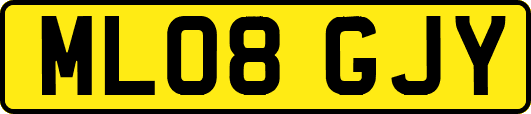 ML08GJY