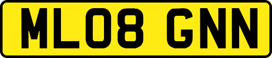ML08GNN