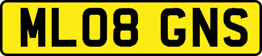 ML08GNS