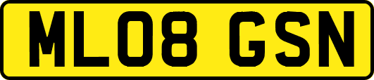 ML08GSN