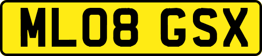 ML08GSX