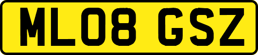 ML08GSZ