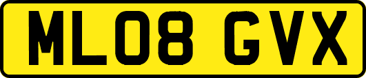 ML08GVX