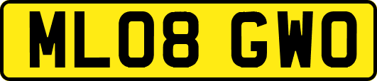 ML08GWO