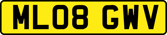 ML08GWV