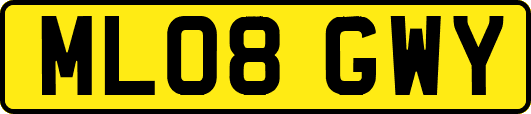 ML08GWY