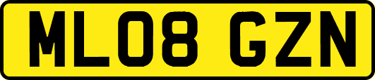 ML08GZN