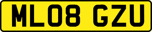 ML08GZU