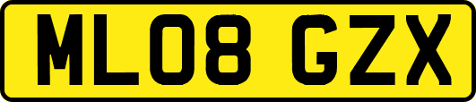 ML08GZX