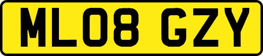 ML08GZY