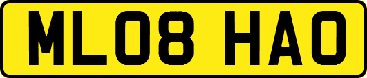 ML08HAO